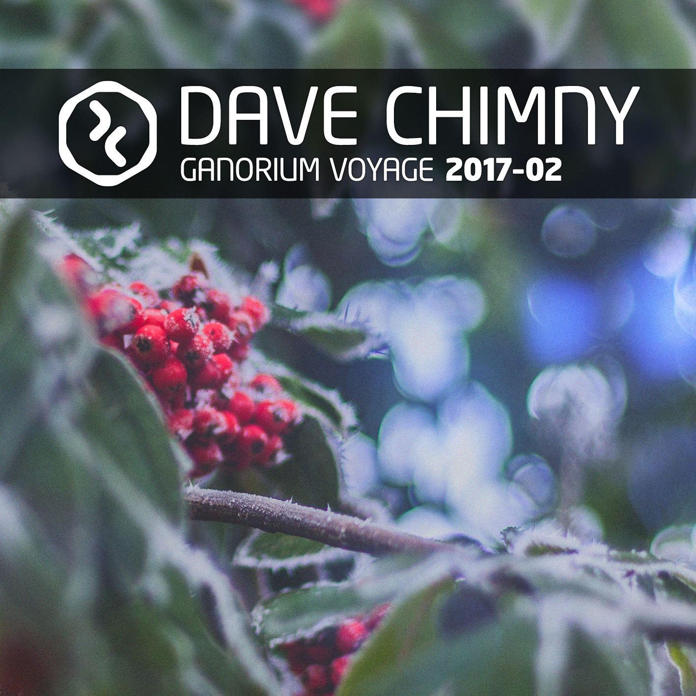 Dave Chimny - Ganorium Voyage 2017-02